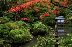 Unesco Prints: Japanese garden outside the Tokugawa Mausoleum, Nikko, Honshu, Japan, Asia