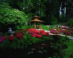 Republic Of Ireland Prints: Japanese Gardens, Powerscourt Gardens, Co Wicklow, Ireland