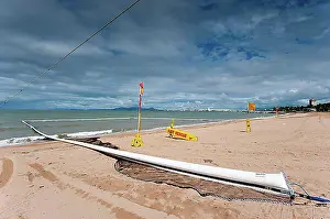 Dangerous Prints: Jellyfish proof beach, safety, danger