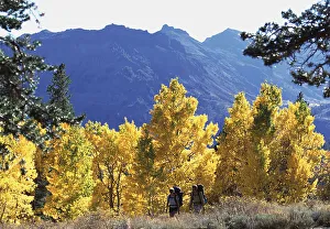 Backpacker Prints: Jessica Sobolowski (model release # 4-12-00) and Randy Hood (model release # 10-16-01) hiking at Sonora Pass