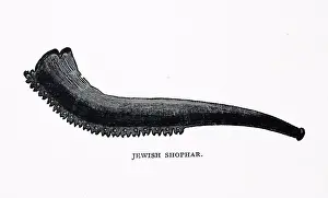 Music Prints: A Jewish Shophar (Shofar). This musical instrument has ancient origins and is traditionally made from a ram's horn