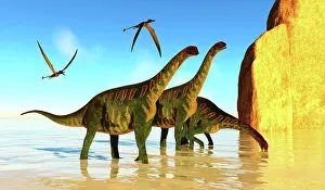 Extinct Prints: Jobaria dinosaurs drinking water form a lake, with a pair of Rhamphorhynchus overhead