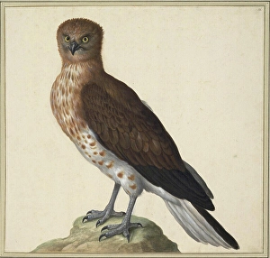 Johann Jakob Walther d