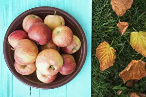 Weather Prints: juicy apples on a wooden blue background