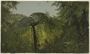 Thick Prints: Jungle Foliage, Jamaica, Frederic Edwin Church