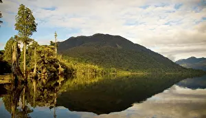 Gelassen Prints: Jungle Lake Forest reflections on lake edge Copyright: xZoonar