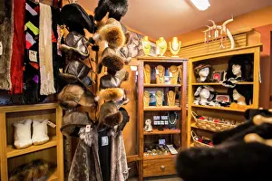 Michael Defreitas Prints: Just Furs, Yellowknife, Northwest Territories, Canada