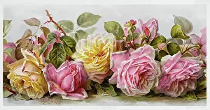 Prints: Just Too Sweet. After Paul de Longpré (France)