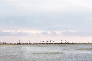 Tourists Prints: Kalahari Desert, Makgadikgadi Salt Pans, Botswana