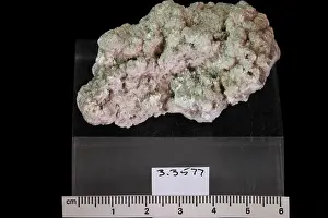 Mineral Prints: Kalinite. minerals. North America; USA; Colorado; Pueblo County; Colorado City