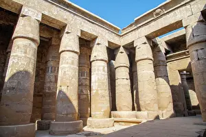 Archaeological Prints: Karnak Temple, Thebes, dedicated to Amun