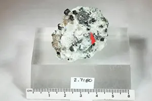 Mineral Prints: Kimzeyite. minerals. North America; USA; Arkansas; Garland County; Magnet Cove; Magnet Cove