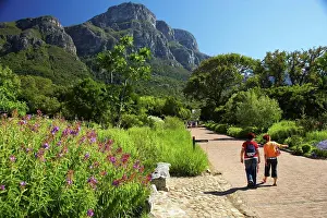 Outdoor Africa Prints: Kirstenbosch Gardens. Cape Town. Western Cape. South Africa