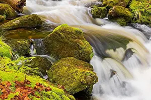 Environmental Reserve Prints: Kleine Ohe creek below Waldhaeuser village in the Bavarian Forest Nationalpark