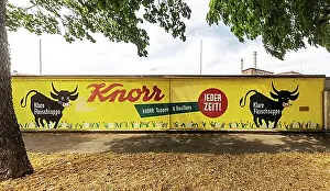 Firm Prints: Knorr is a food manufacturer known for ready-made soups and convenience products