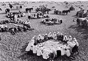 Ussr Prints: Kolkhoz near Kiev, Anonymous