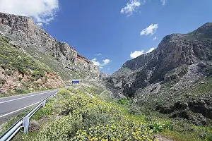 Crete Prints: Kourtaliotiko gorge, Megalopotamos river, Rethymno, Crete, Greece, Europe