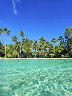 Wahrzeichen Prints: Kristallklares Wasser und üppige Palmen an den atemberaubenden Ufern von Koh Kood Thailand Sunlight dances