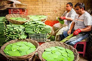 Culinary Prints: La Merced market, nopales shop, Mexico City, Mexico