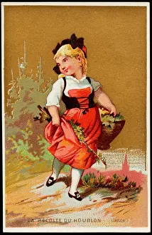 Arts Department Prints: La recoite du houblon (Alsace). La recoite du houblon (Alsace)