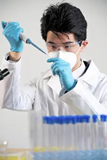 Researcher Prints: Laboratory assistant conducting experiments for laboratory research
