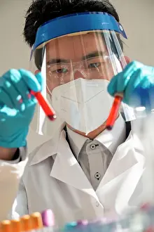 Examination Prints: Laboratory technician performing blood tests in the laboratory
