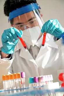 Examination Prints: Laboratory technician performing blood tests in the laboratory