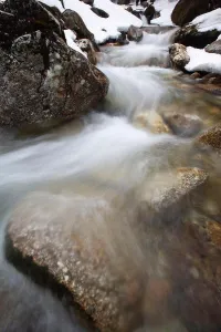 Biodiversity Prints: Lafayette Brook Scenic Area - Lafayette Brook in the White Mountains