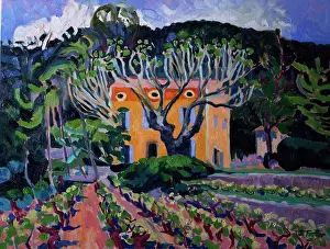 Provence Prints: LaFougiere, Provence by Josephine Trotter (b.1940/British) oil on canvas