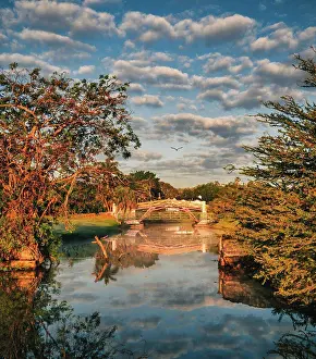 Water Resources Prints: lake in autumn beautiful place clouds sky miami florida trees reflecti