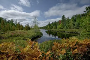 : Lake in a forest, Craig Lake, Craig Lake State Park, Baraga County, Michigan, USA
