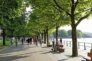 Holiday Vacation Destination Prints: Lakeside promenade on Lake Constance, Bregenz, Vorarlberg, Austria, Europe