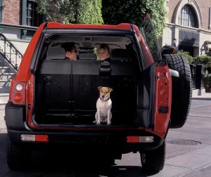 Rear Prints: Land Rover Freelander 2001 red dog open cargo space straight on