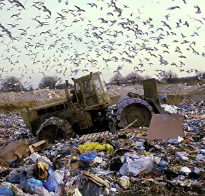 Multitude Prints: Landfill Compactor in a garbage dump France