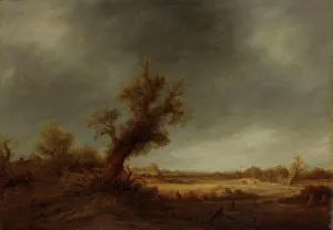 Fineart Prints: Landscape with an old oak, Adriaen van Ostade, 1640 - 1650