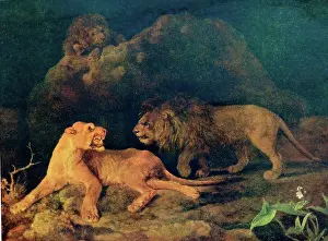 Lioness Prints: Landscape painting of a Lioness and Lion