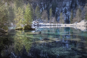 Coniferous Prints: Landscape of peaceful azure lake with snowy shore in mountains of Switzerland
