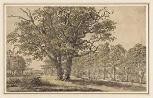 Chalk Prints: Landscape (recto), 1800-1843. Georges Michel (French)