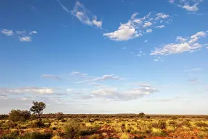 Verrotten Prints: landscape scenery of the Australia outback An image of a landscape scenery of the Australia outback Copyright: xZoonar