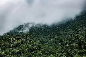 Weather Prints: Landscape the Sierra Nevada in Colombia, South America