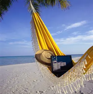 Maldives Prints: Laptop and a straw hat in a hammock, Maldives