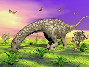 Toughness Prints: Large Argentinosaurus dinosaur eating small plants while surrounded with butterflies and flowers