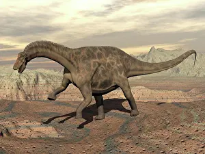Toughness Prints: Large Dicraeosaurus dinosaur walking on rocky terrain