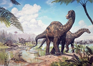 Illustration Prints: Large Dicraeosaurus sauropods from the Late Cretaceous of Africa