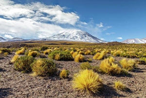 Chile Prints: Lascar volcano in Chile