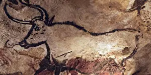 History Pictures Prints: Lascaux is the setting of a complex of caves in southwestern France famous for its Paleolithic cave paintings