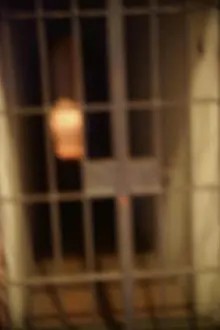 Grave Prints: Cry with a lattice door in a dark crypt with a lattice door is a light in the dark corner
