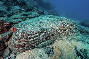 Canary Islands Prints: Lava rock cooled under water after volcanic eruption on the seabed