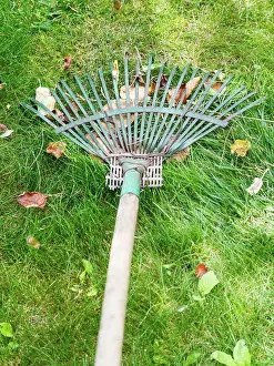 Cleaning Prints: lawn care with rake lawn care with the help of rake Copyright: xZoonar