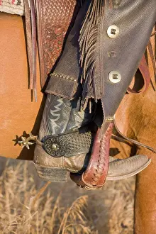 Leather Prints: The leg of a cowboy in a horse stirrup